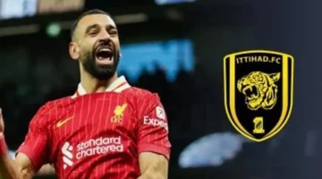 توسع المشاركة.. 5 دوريات عربية تستقبل نجوم الكرة المصرية